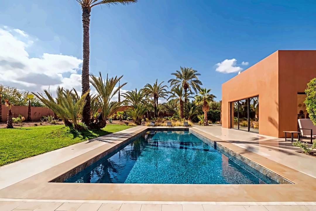 Langer Pool neben der modernen Villa in Terrakotta, mit Palmen, Rasen und Sonnenliegen