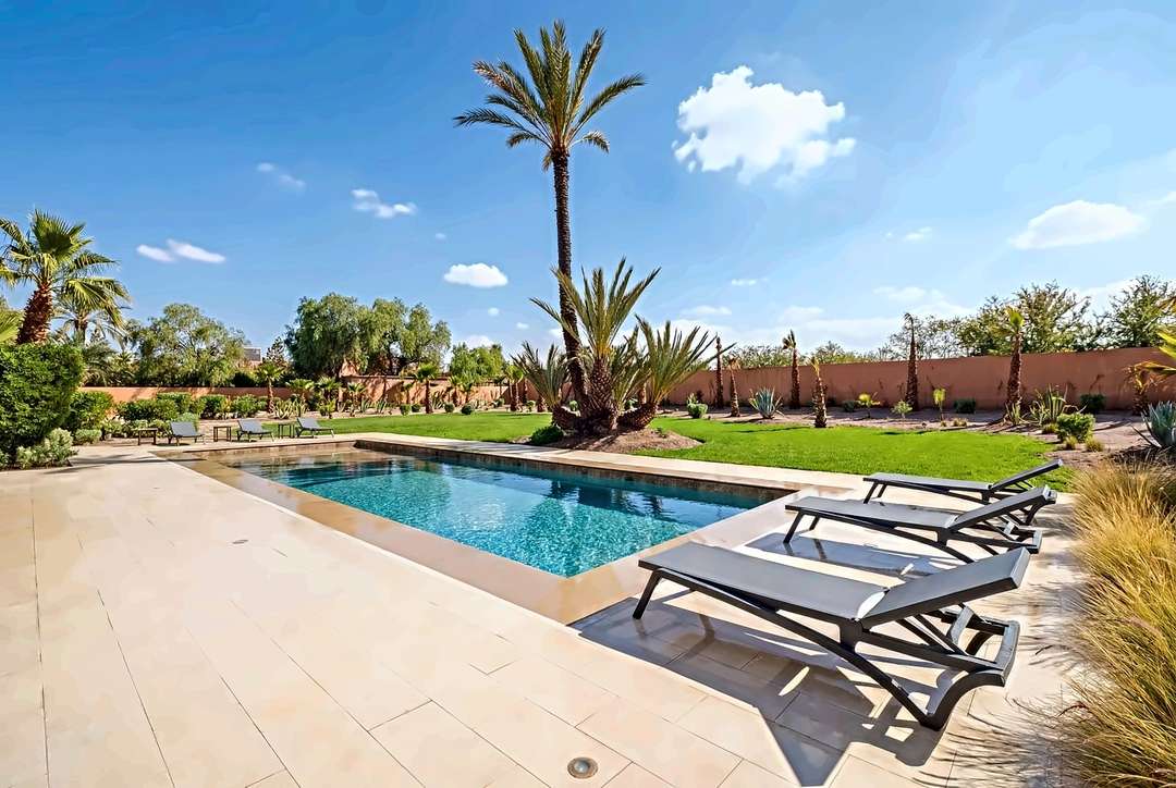 Pool an einem weiten Rasen mit einer Dattelpalme, Palmfarnen und einer Gartenmauer in Terrakotta
