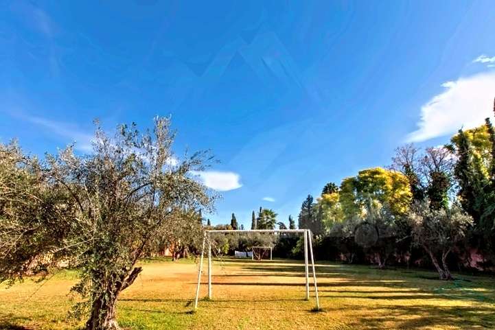 Campo da calcio in erba con le porte, tra gli olivi del giardino