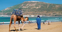 Agadir City