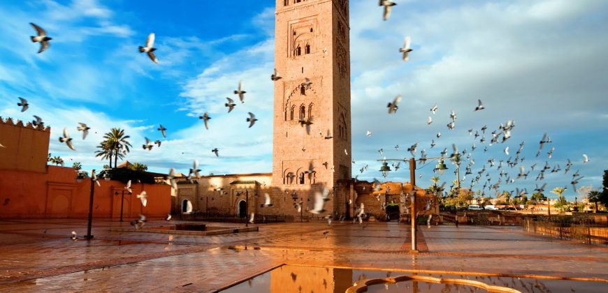 Marrakech City