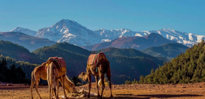 Ourika Valley