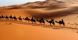 Zagora Desert Sahara