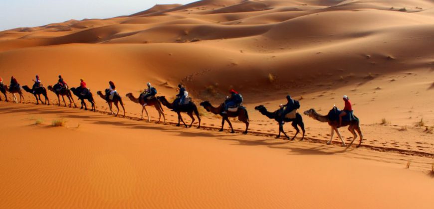 Zagora Desert Sahara